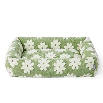 Soul Dog Soul Dog - Soul Dog - YouTube